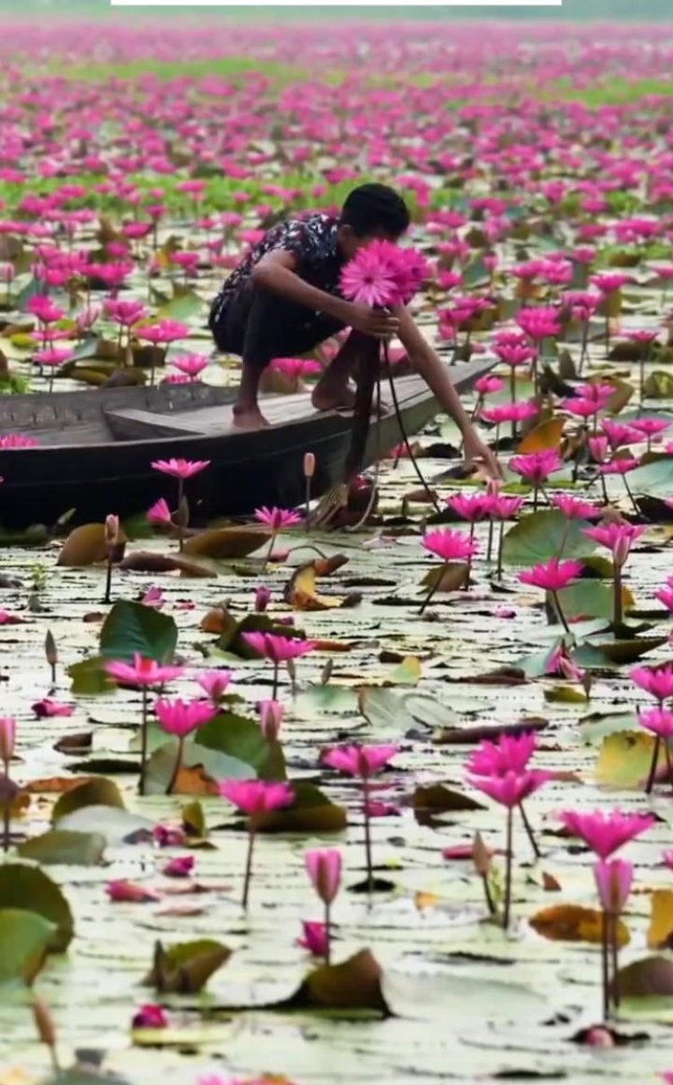 Kabar Jheel Begusarai